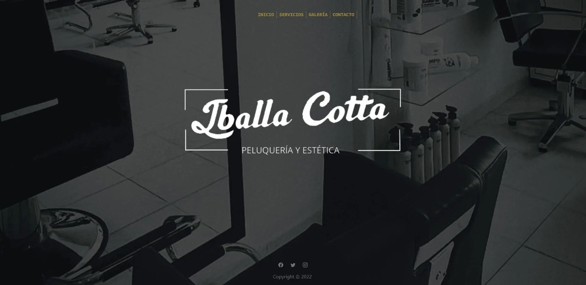 Website de peluquería